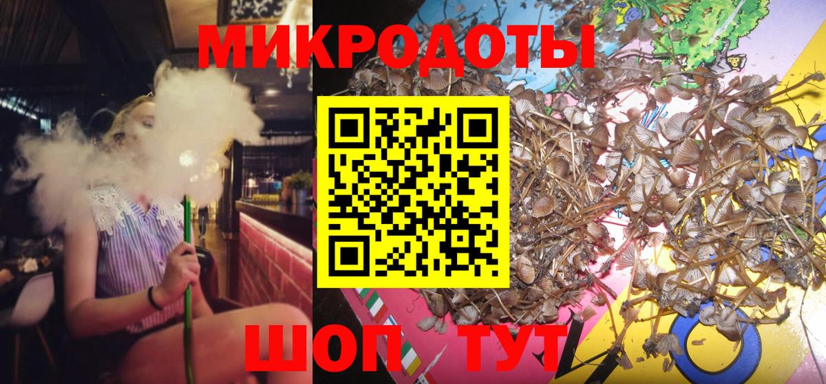 Псилоцибиновые грибы MAGIC MUSHROOMS  Псилоцибиновые грибы Cubensis  даркнет сайт  Брянск  Вход с VPN 