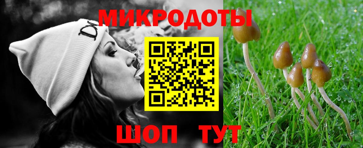 Галлюциногенные грибы Magic Shrooms Брянск